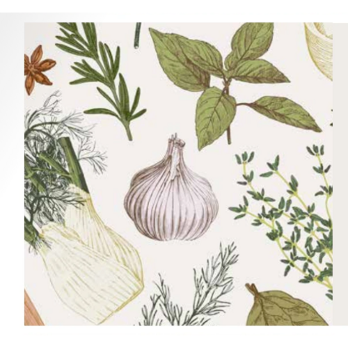Nappe Basilic 60 x 90 pouces