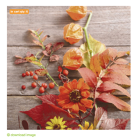 Fruity Floral Paper Napkin
