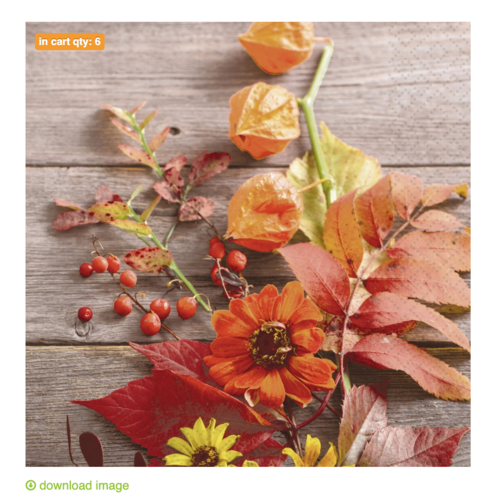 Serviettes de table en papier Fleurs fruitées