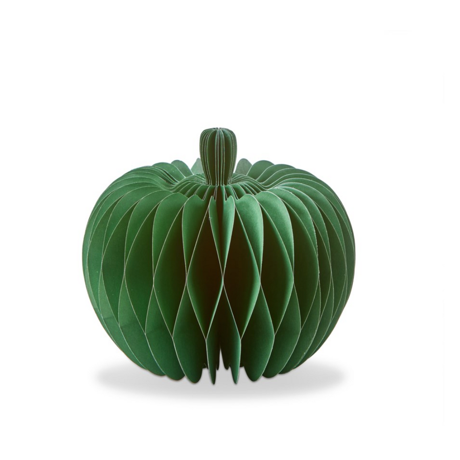 Citrouille en papier verte 8 pouces - Photo 0