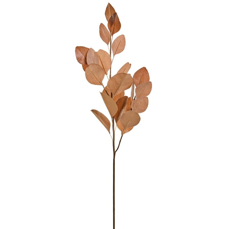 Branche d'eucalyptus brun 35 pouces - Photo 0