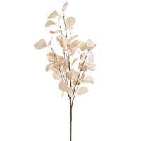 Beige Eucalyptus Branch 25.5 Inches