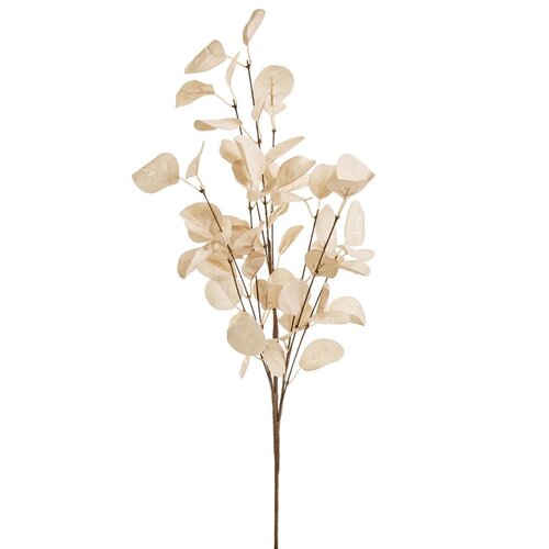 Branche d'eucalyptus beige 25.5 pouces