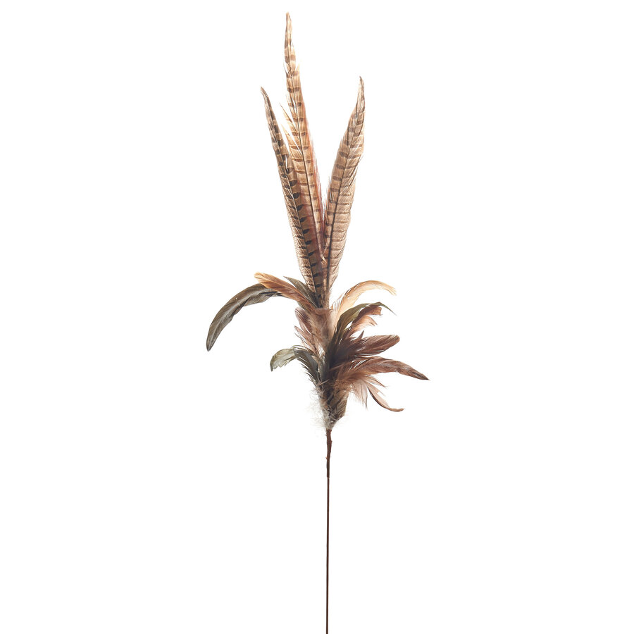35-inch Pheasant Feather Stem - Photo 0