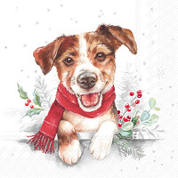 Louie Paper Napkins