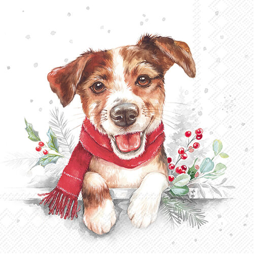 Louie Paper Napkins