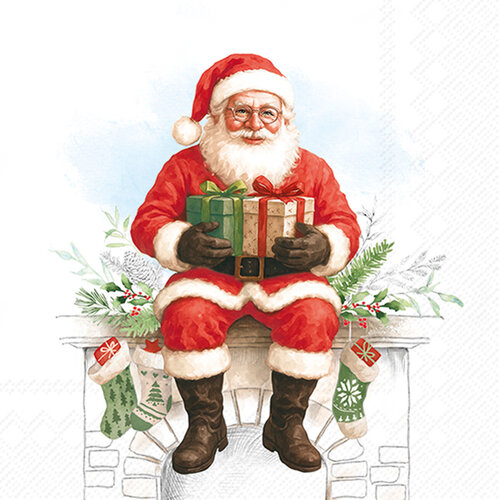Santa Paper Napkins