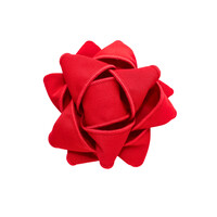 Chou à cadeau rouge
