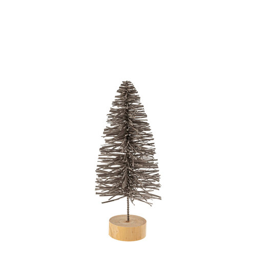 Small Grey Alpine Fir 12.75 Inches