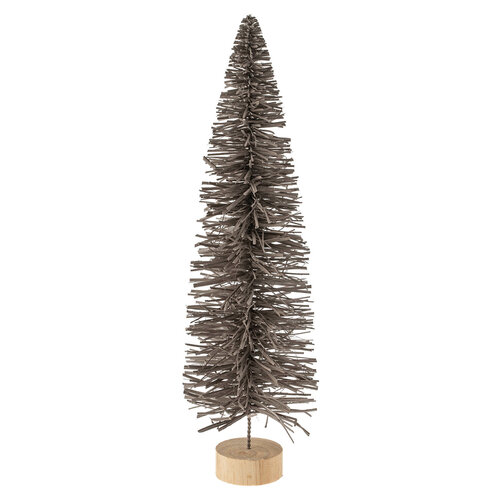Sapin alpin gris 20,5 pouces