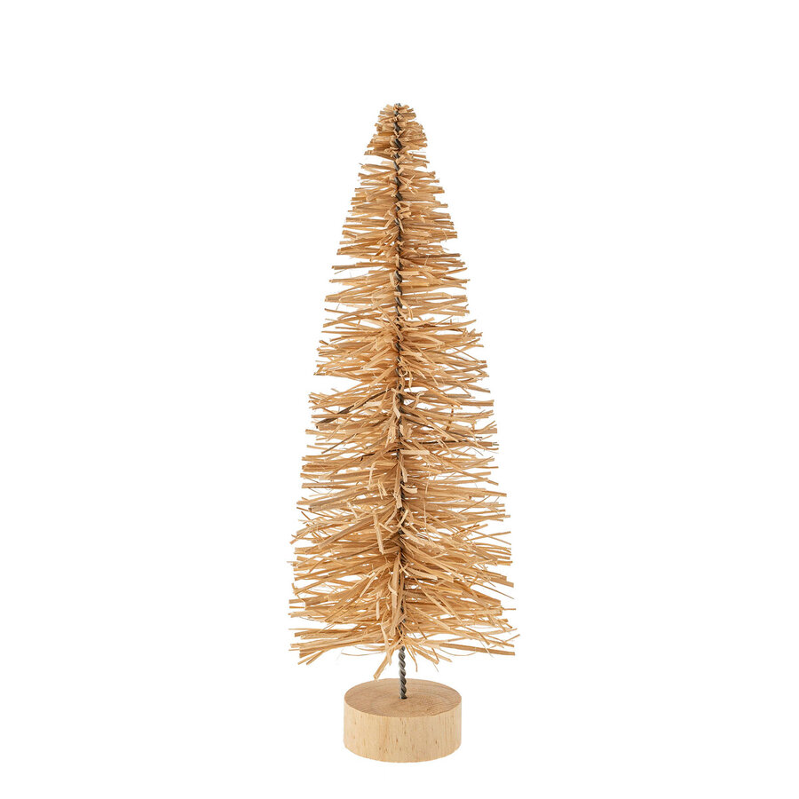 Natural Alpine Fir, Medium Size - Photo 0