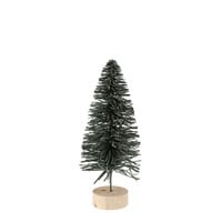 Small Teal Alpine Fir