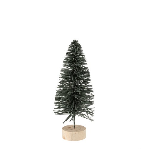 Small Teal Alpine Fir