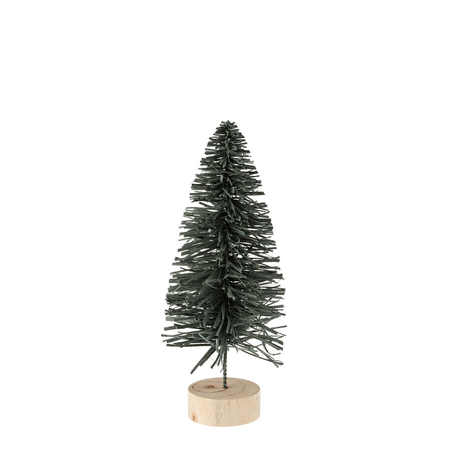 Small Teal Alpine Fir - Photo 0