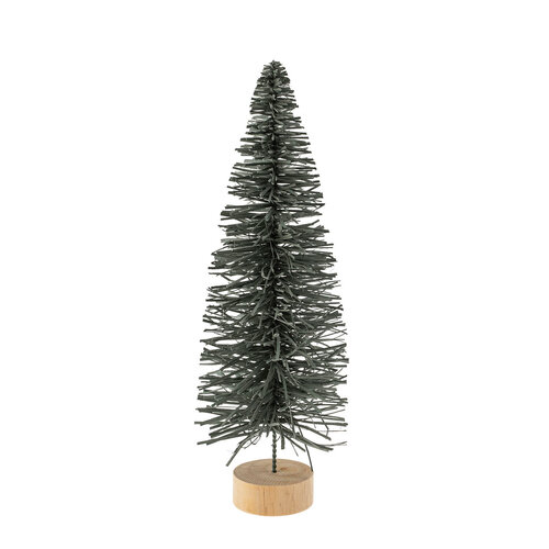 Sapin alpin sarcelle, format moyen