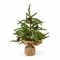 Grand sapin de Noël avec base en jute