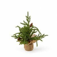 Winterwood Small Christmas Tree with Jute Base
