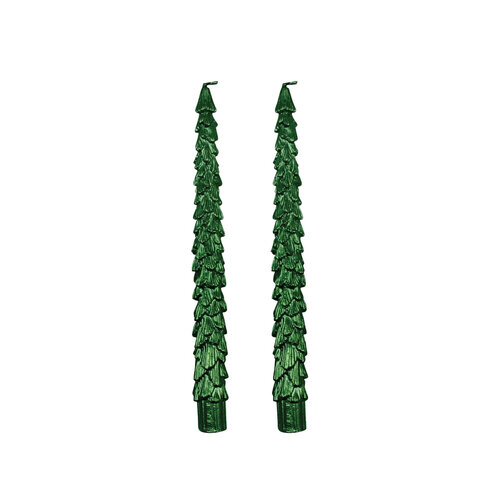 Textured Fir Tree Forest Candles, Set of 2