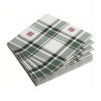 Mountain Frost Paper Napkins