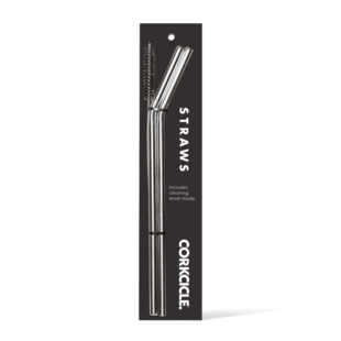 Tumbler Straw 2-Pack