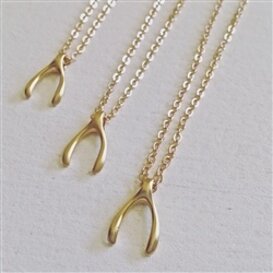 Wishbone Pendant Necklace