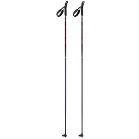 Salomon Escape Poles