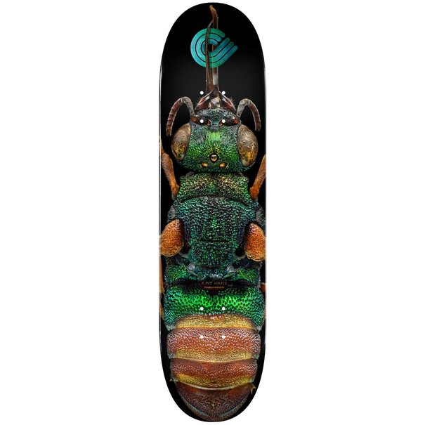 POWELL PERALTA Ruby Tailed Wasp 8.5 / Multi