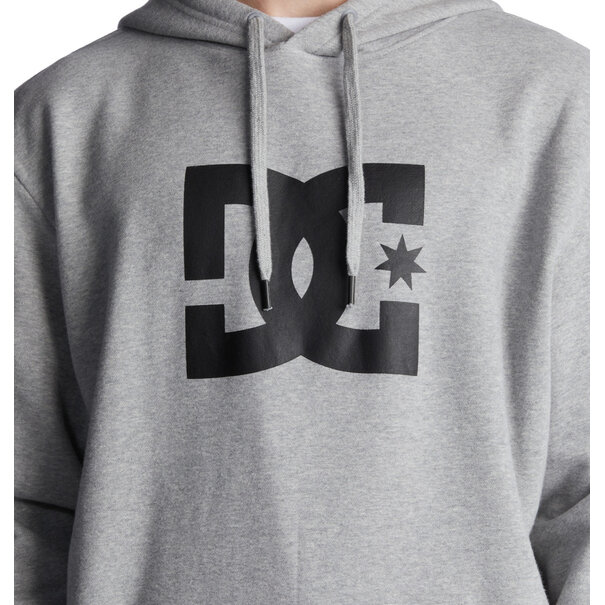 DC Shoes Star Hoodie / Grey