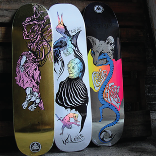 Skate Decks