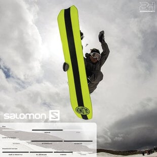 Snowboards