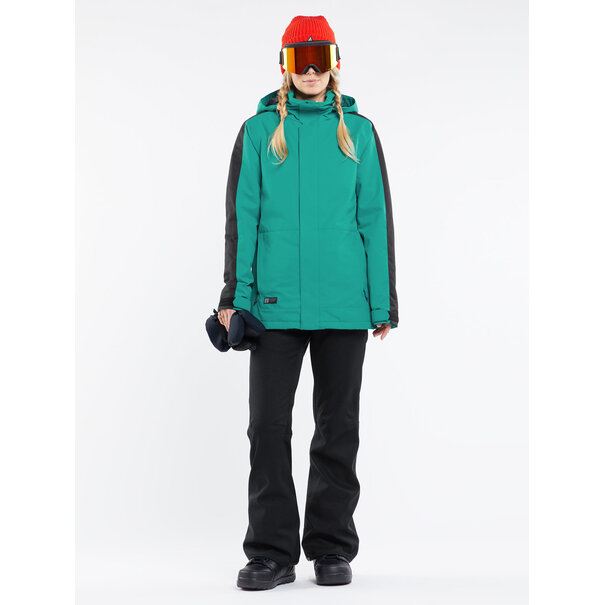 Volcom SPECIES STRETCH PNT