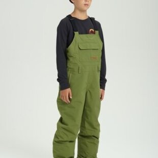 Kids' Burton Skylar 2L Bib Pants Green