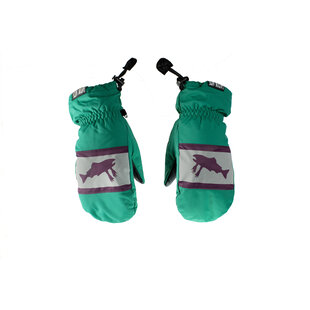 Men's Mitts + Gloves