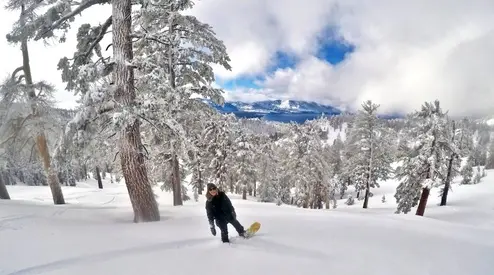 Buying a Women's Snowboard