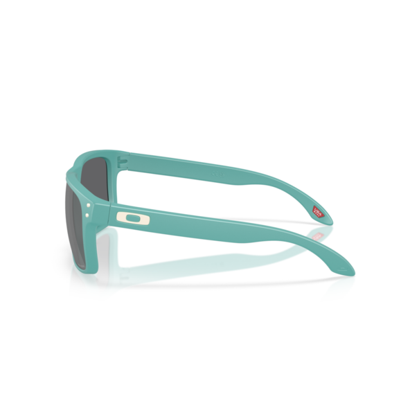 Oakley Holbrook Mt Pacific w/ Prizm Black