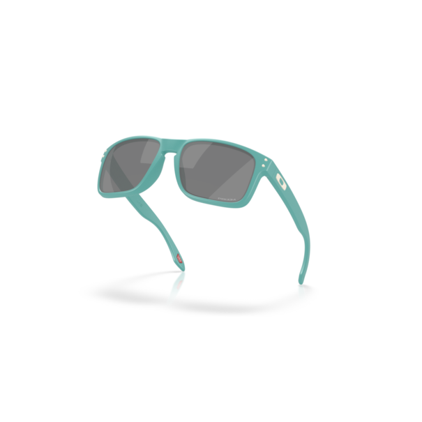 Oakley Holbrook Mt Pacific w/ Prizm Black