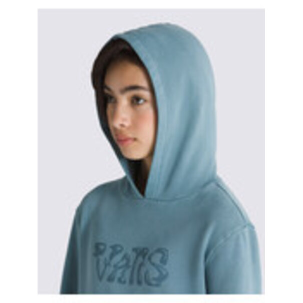 Vans Footwear Kids Display Hoodie Bluestone