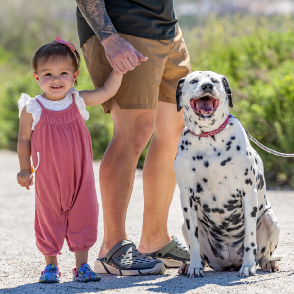 Joybees Footwear Trekking Clog Adults-Block Light Sage/Beige