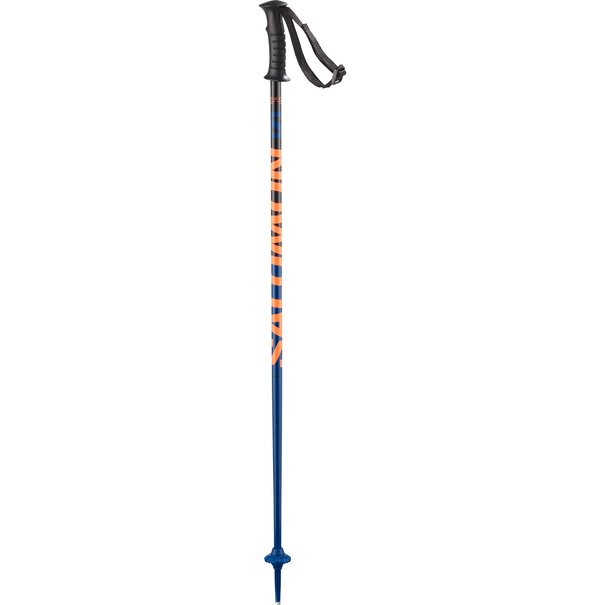 Salomon Salomon Kaloo Junior Poles-Blue