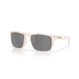 Holbrook Mt Clear Terrazzo w/ Prz Blk Pl