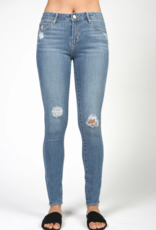 articles of society sarah