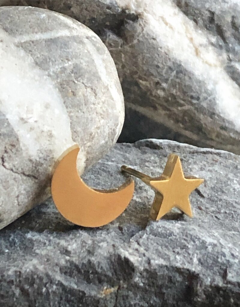 'Starry Night' Stainless Steel Stud Earrings