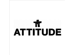 Attitude