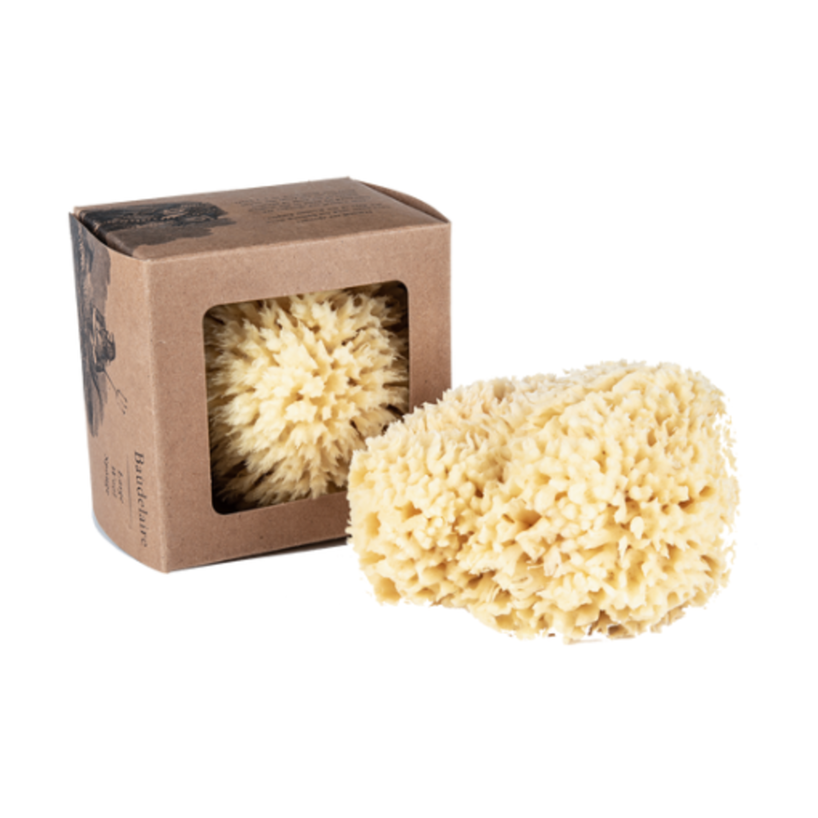 BAUDELAIRE Boxed Wool Sponge-Large