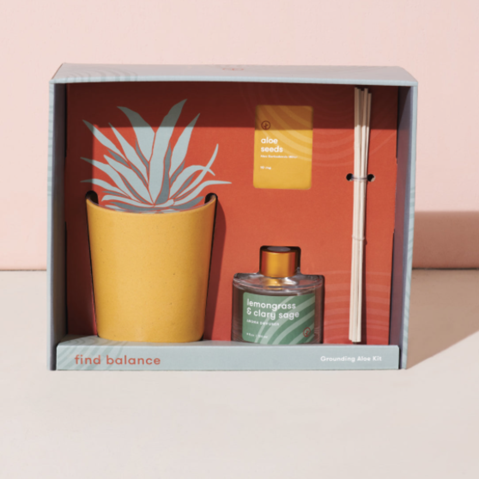 MODERN SPROUT Find Balance- Grounding Aloe Kit