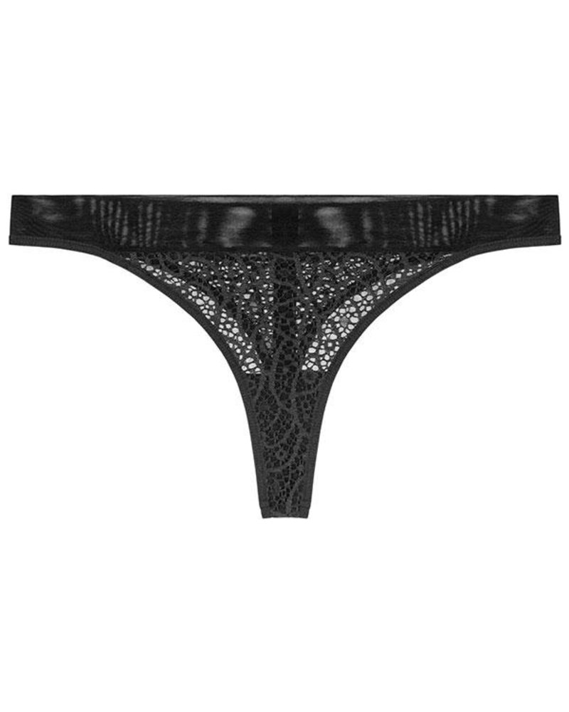 Opaak Norma Lace Thong