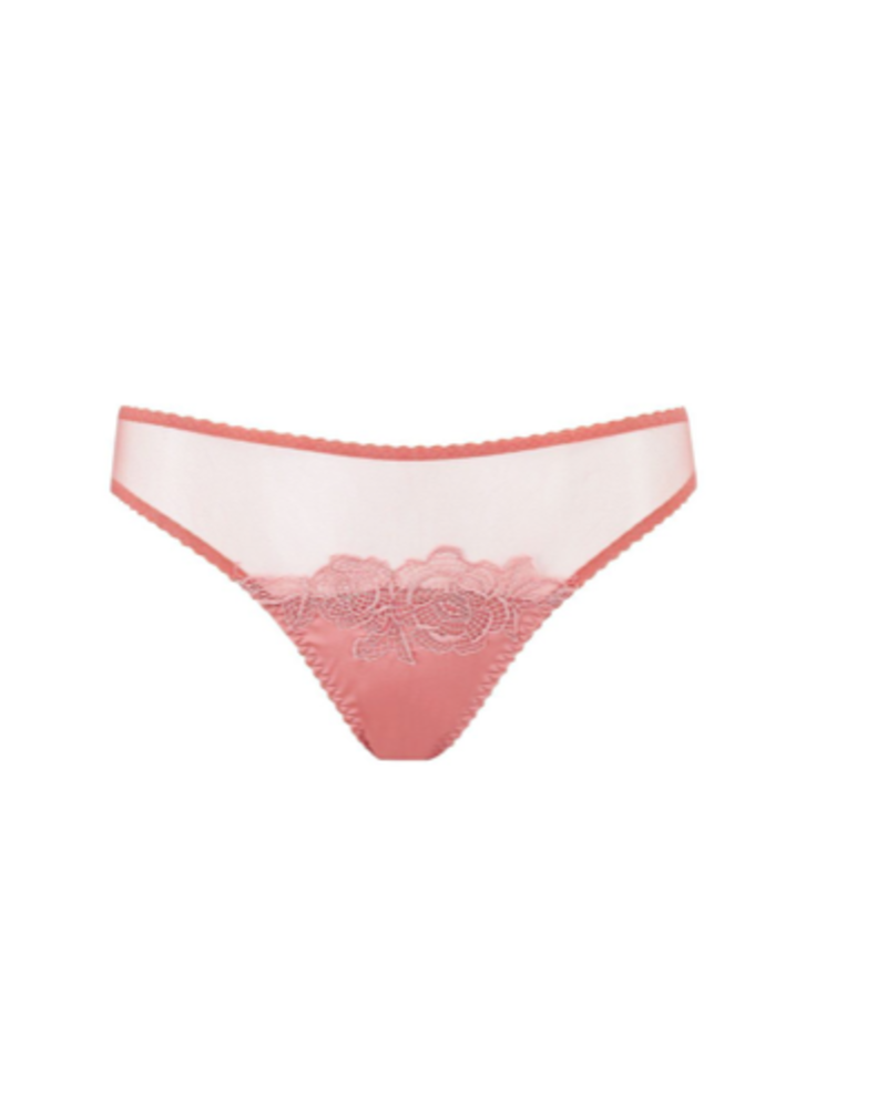 Fleur of England Penelope Brief