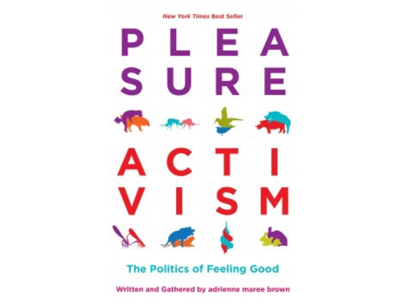 pleasure activism book