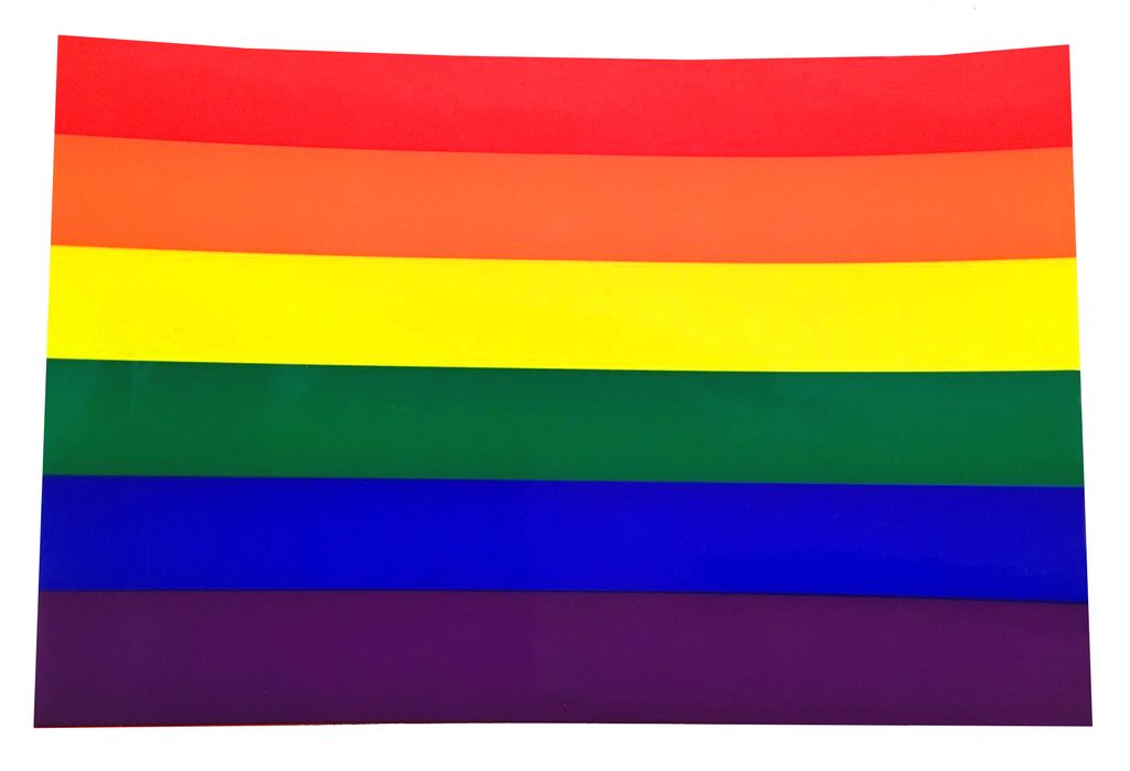 rainbow flag sticker she bop