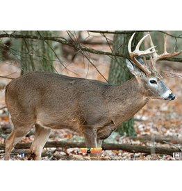 Nice Target Nice Target Deer Broadside Right 1 (Each)
